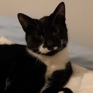 Meet your Posher, Marvic